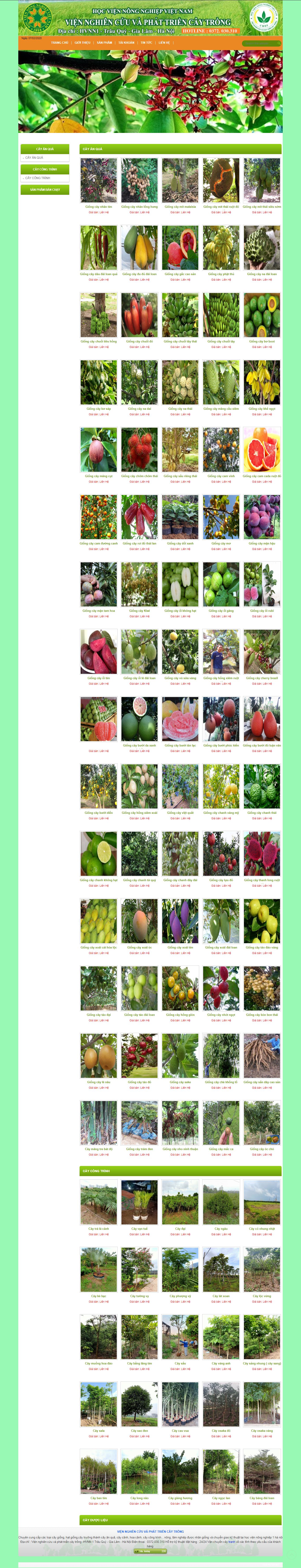 Thiết kế Website cây cảnh - viennghiencuucaygiong.com - VietWebGroup.Vn