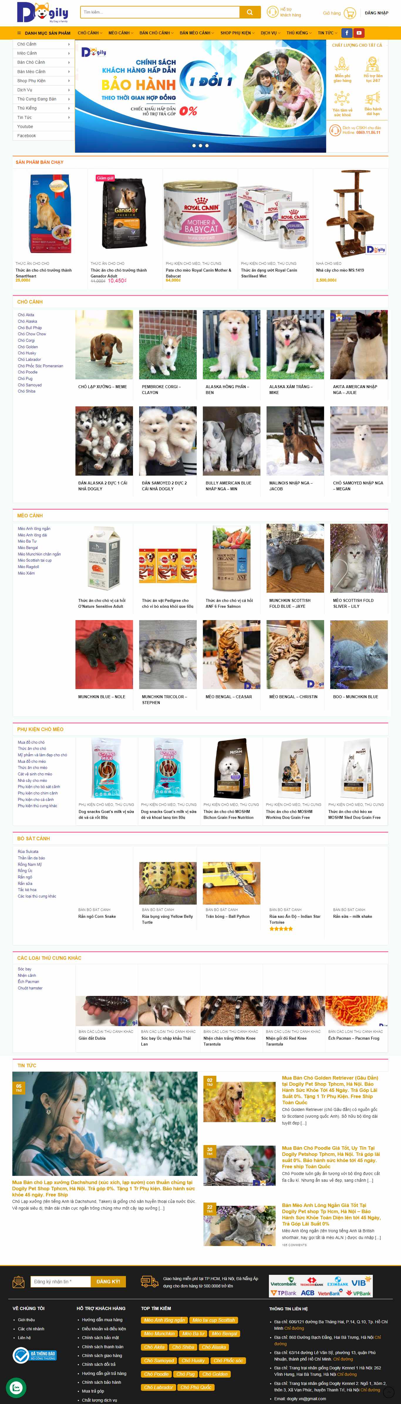 Thiết kế Website thú cưng - dogily.vn - VietWebGroup.Vn