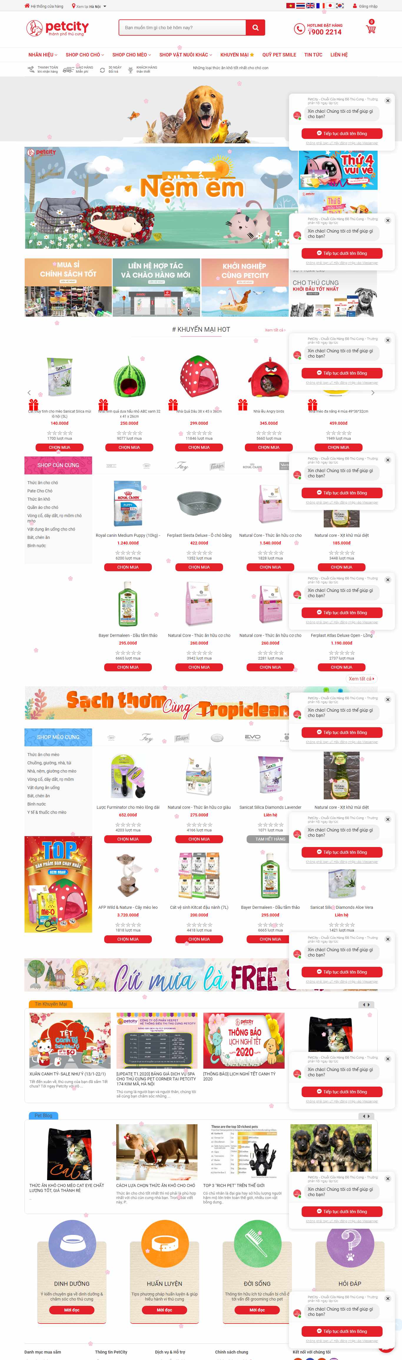 Thiết kế Website thú cưng - www.petcity.vn - VietWebGroup.Vn