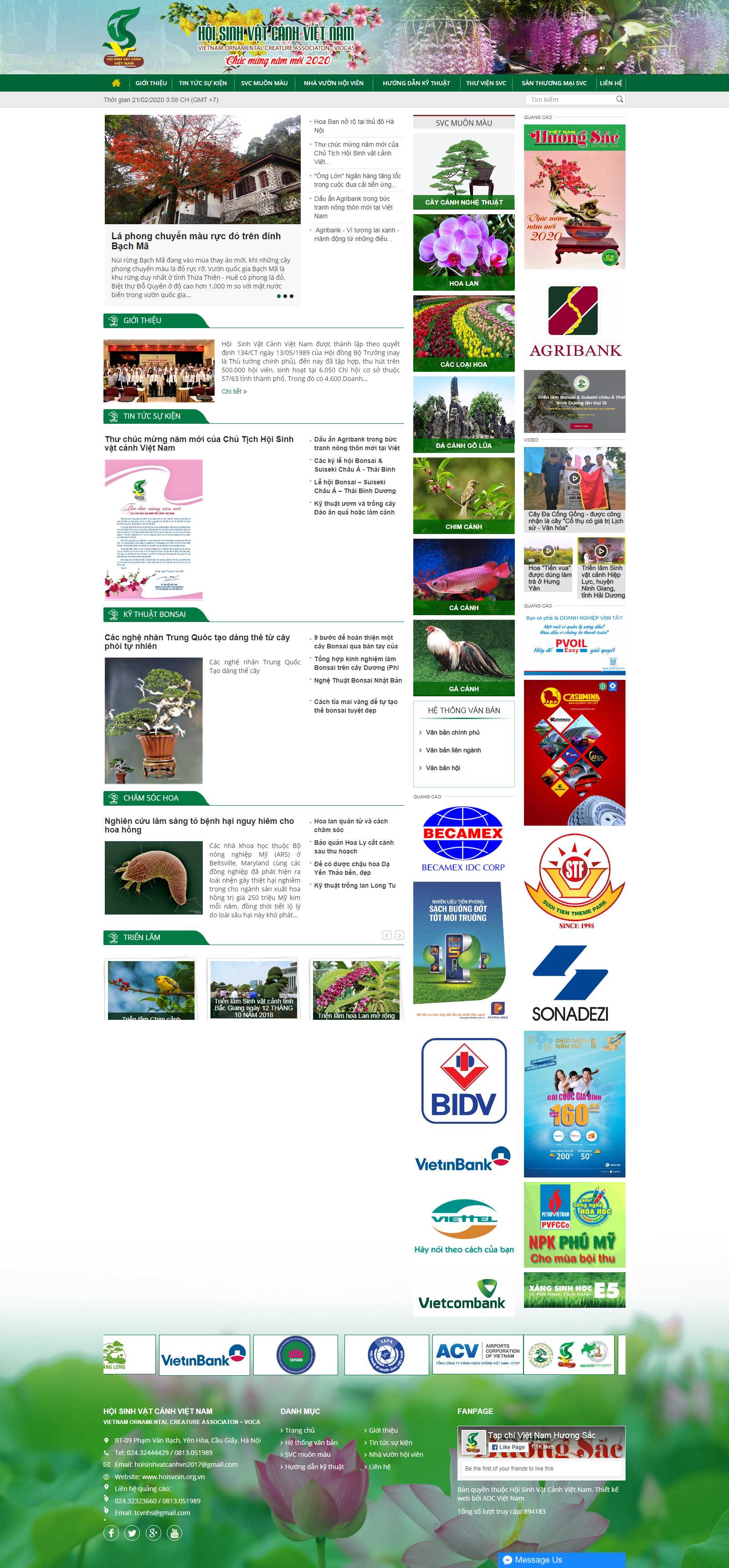 Thiết kế Website chim cảnh - hoisvcvn.org.vn - VietWebGroup.Vn