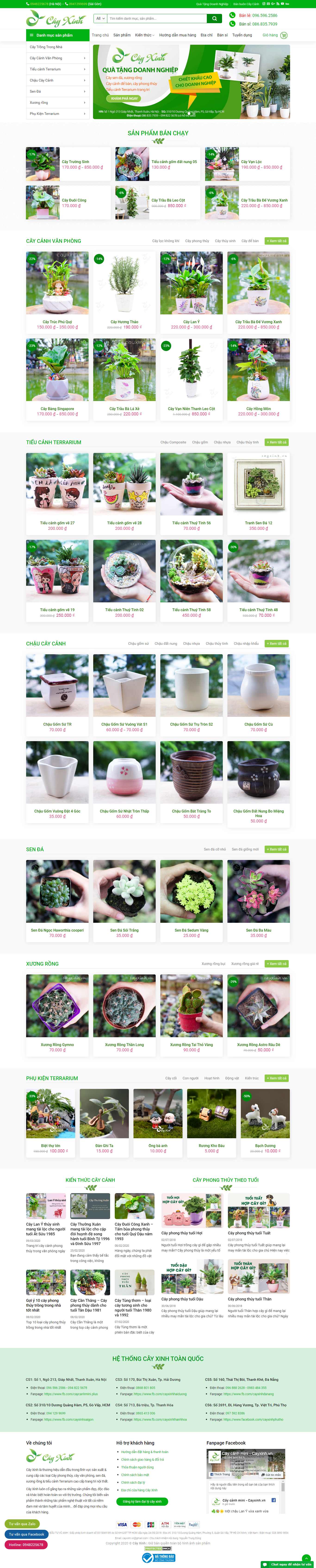 Thiết kế Website mua bán cây cảnh - cayxinh.vn - VietWebGroup.Vn