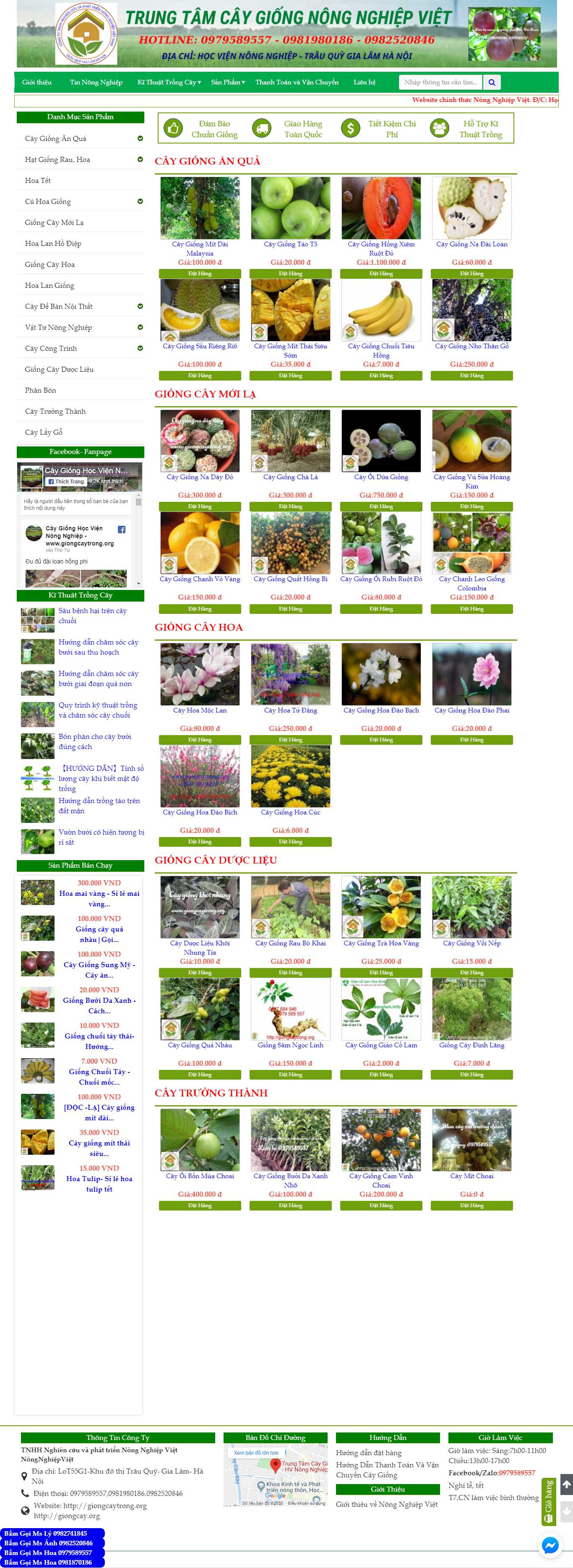 Thiết kế Website hạt giống cây trồng - giongcaytrong.org - VietWebGroup.Vn