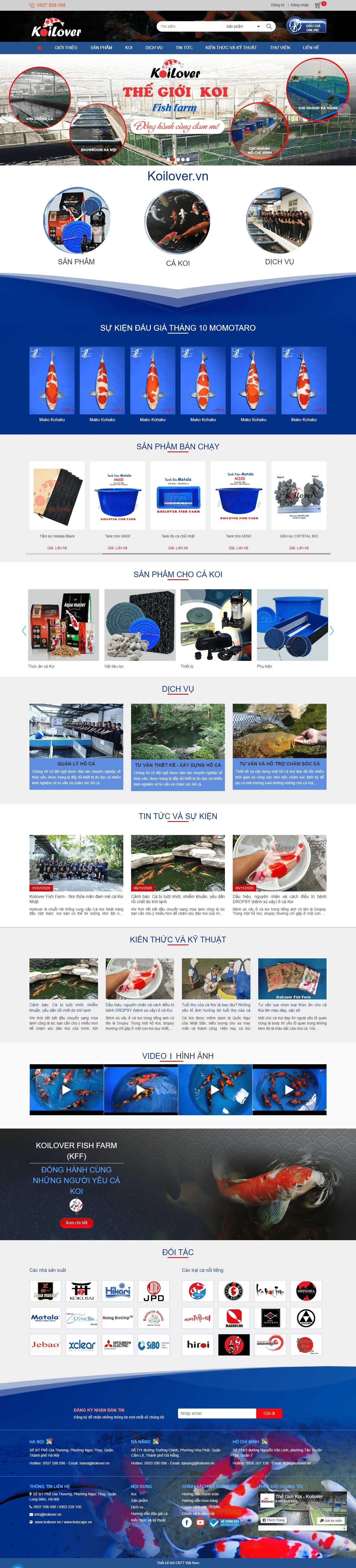 Thiết kế Website web cá cảnh - koilovervn