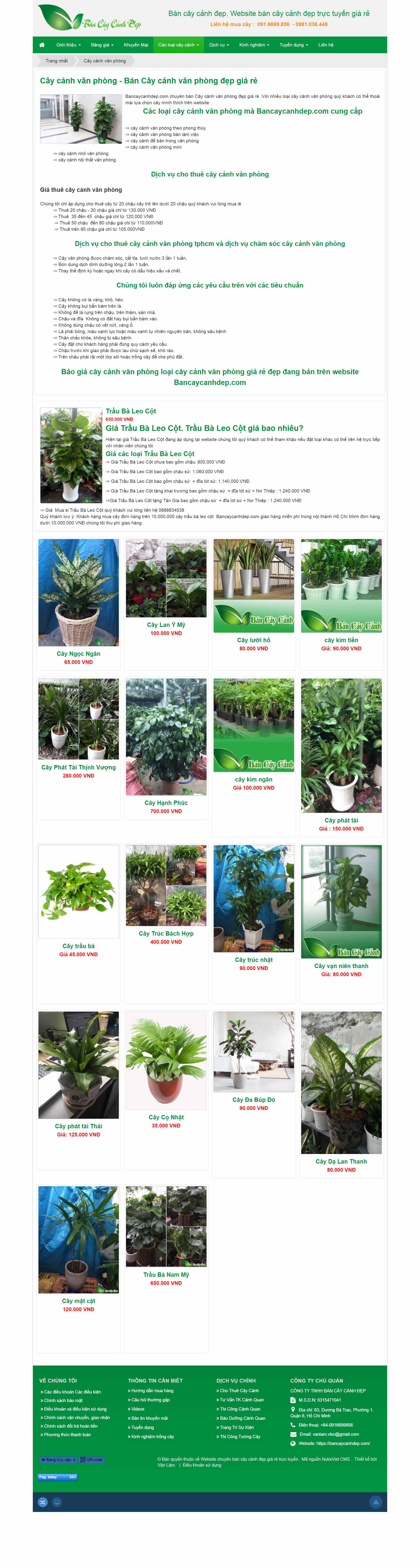 Thiết kế Website web mua bán cây cảnh - bancaycanhdepcom
