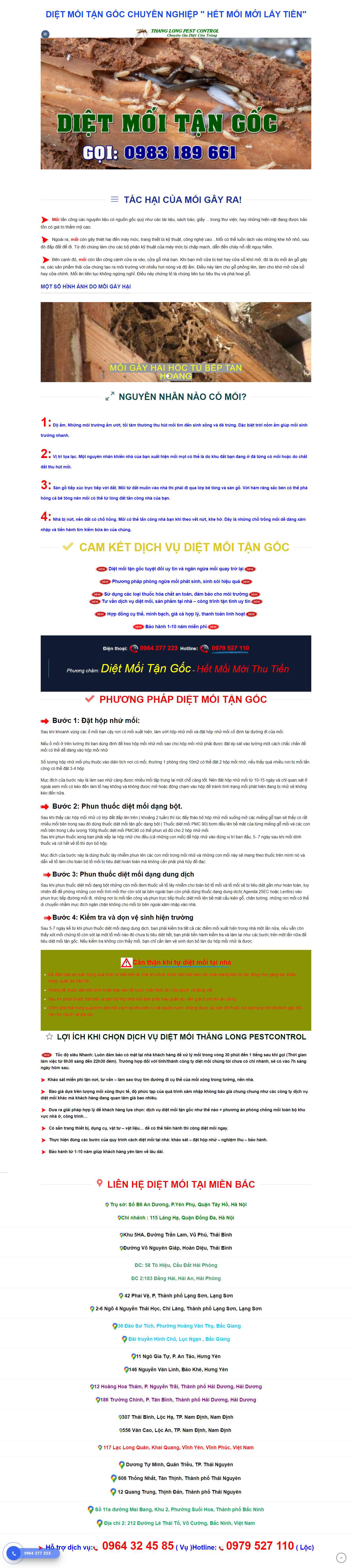 Thiết kế Website Web diệt mối - dietmuoiasia