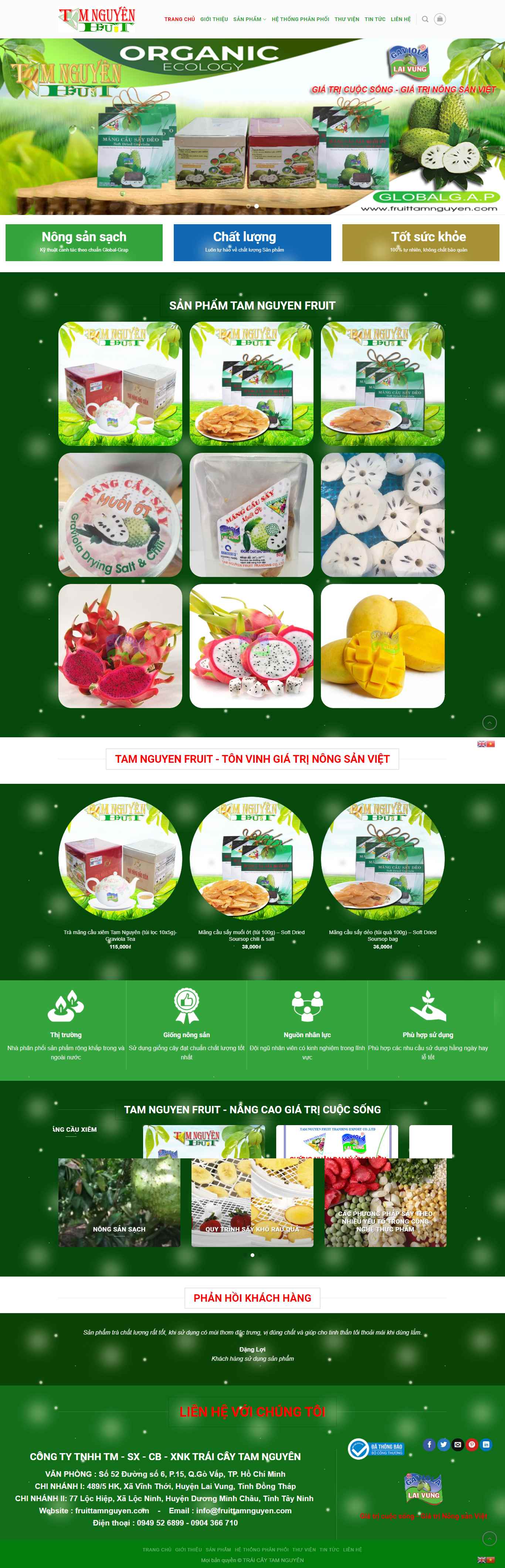 Thiết kế Website web tamnguyen - fruittamnguyencom