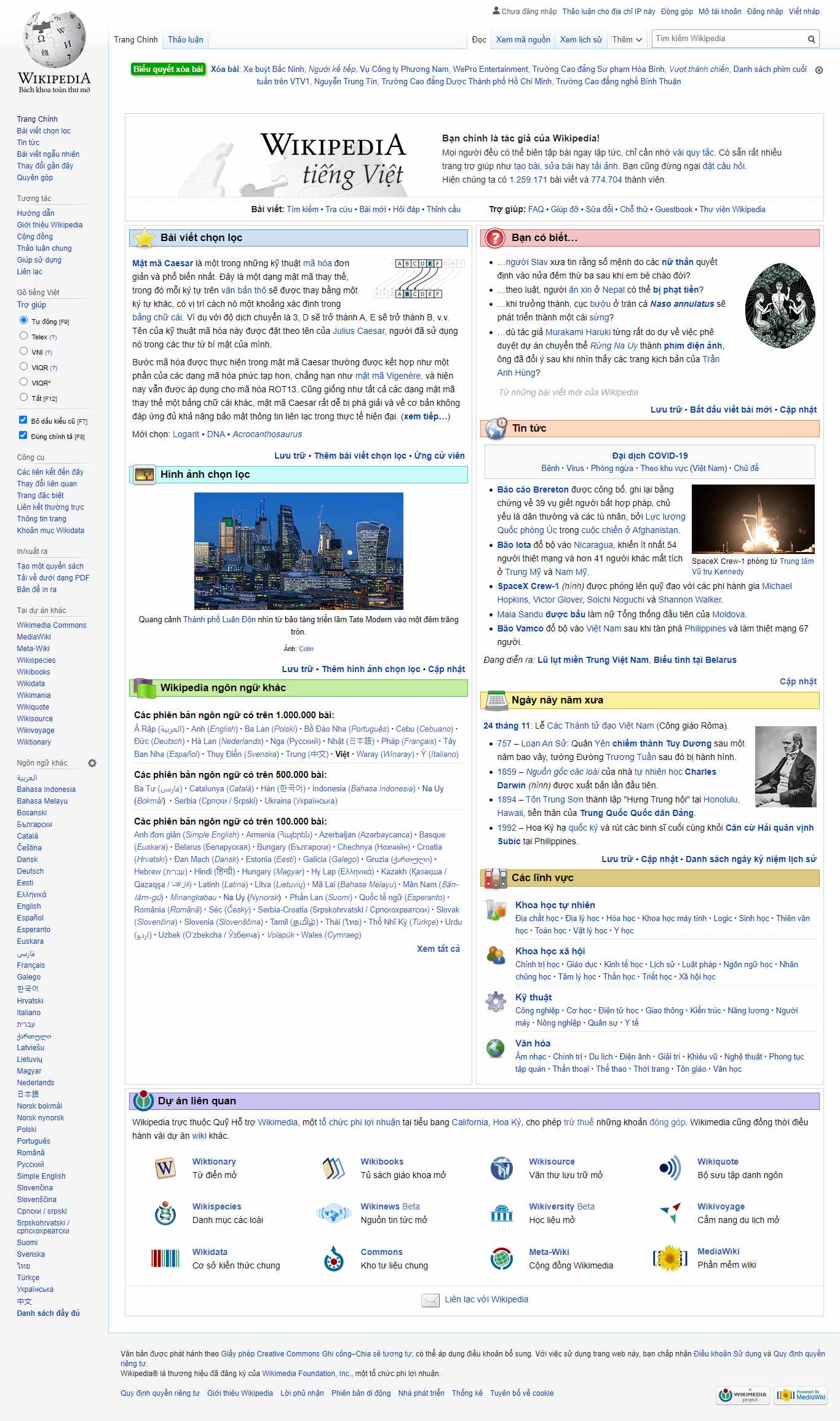 Thiết kế Website web wiki - viwikipediaorg