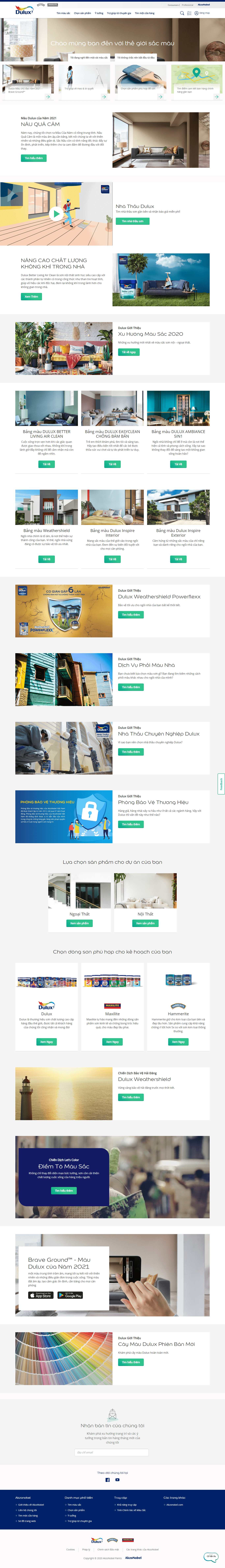Thiết kế Website web icolor - wwwduluxvn