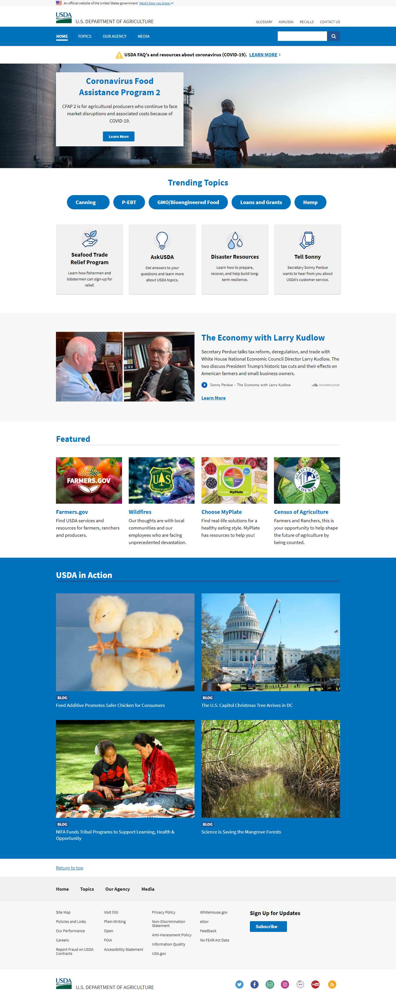 Thiết kế Website web coccoc - wwwusdagov