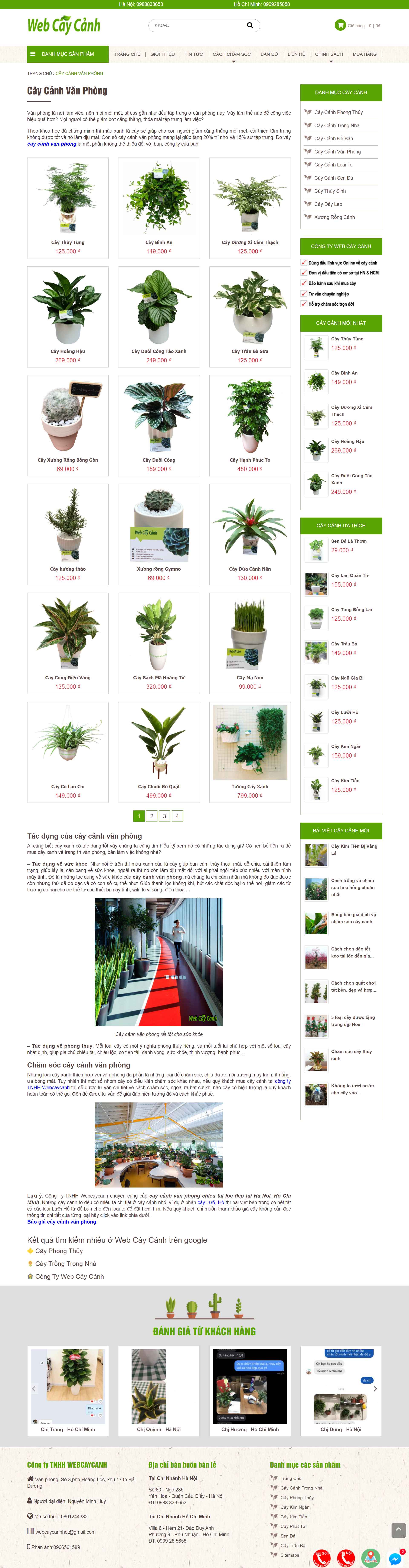 [webcaycanh] Thiết kế Website Web cây cảnh văn phòng - webcaycanhcom