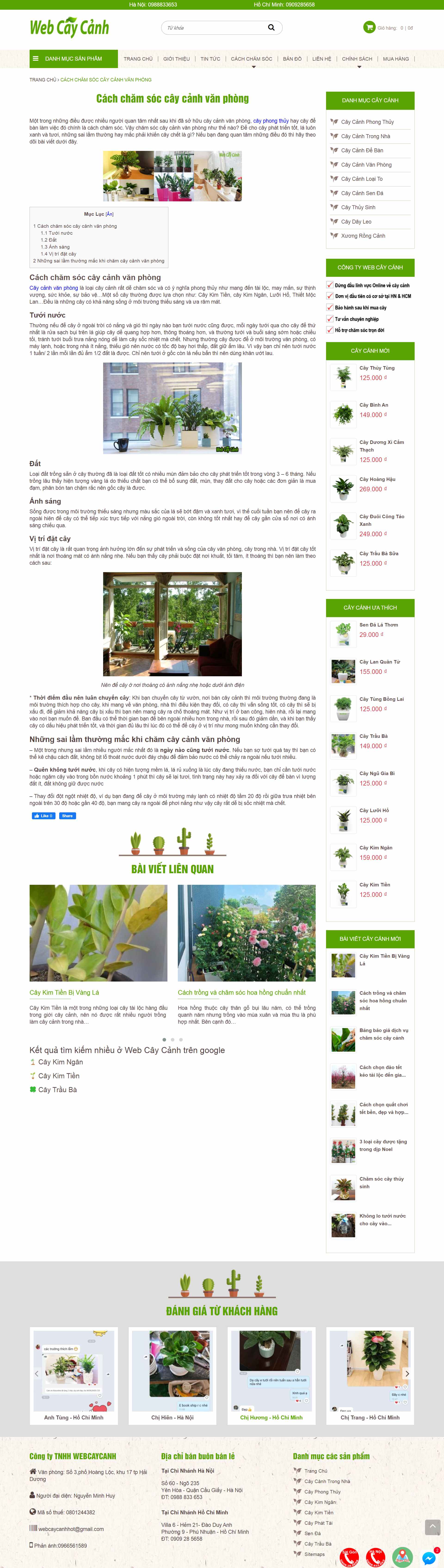 Thiết kế Website Web cây cảnh đẹp - webcaycanhcom
