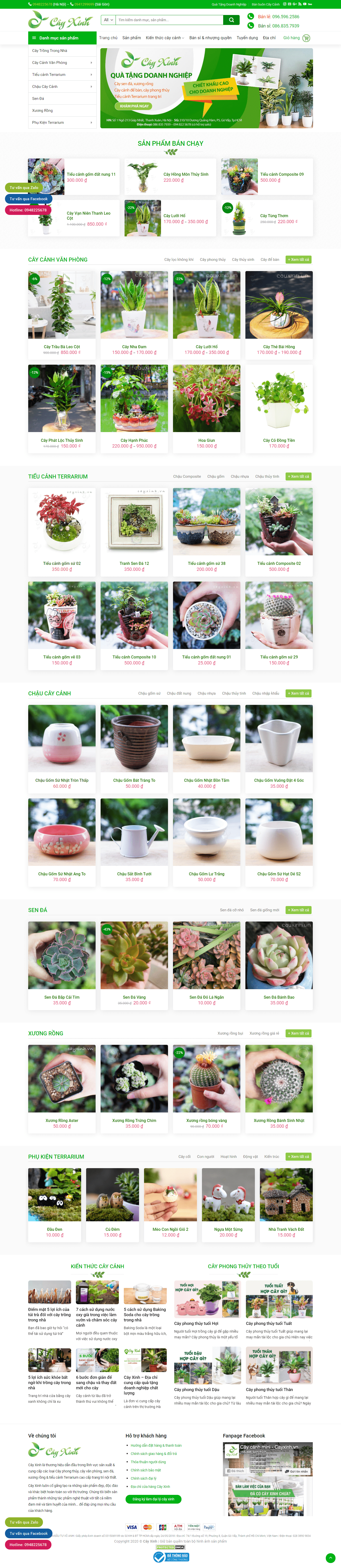 Thiết kế Website Web bán cá cảnh, cây thủy sinh - cayxinhvn