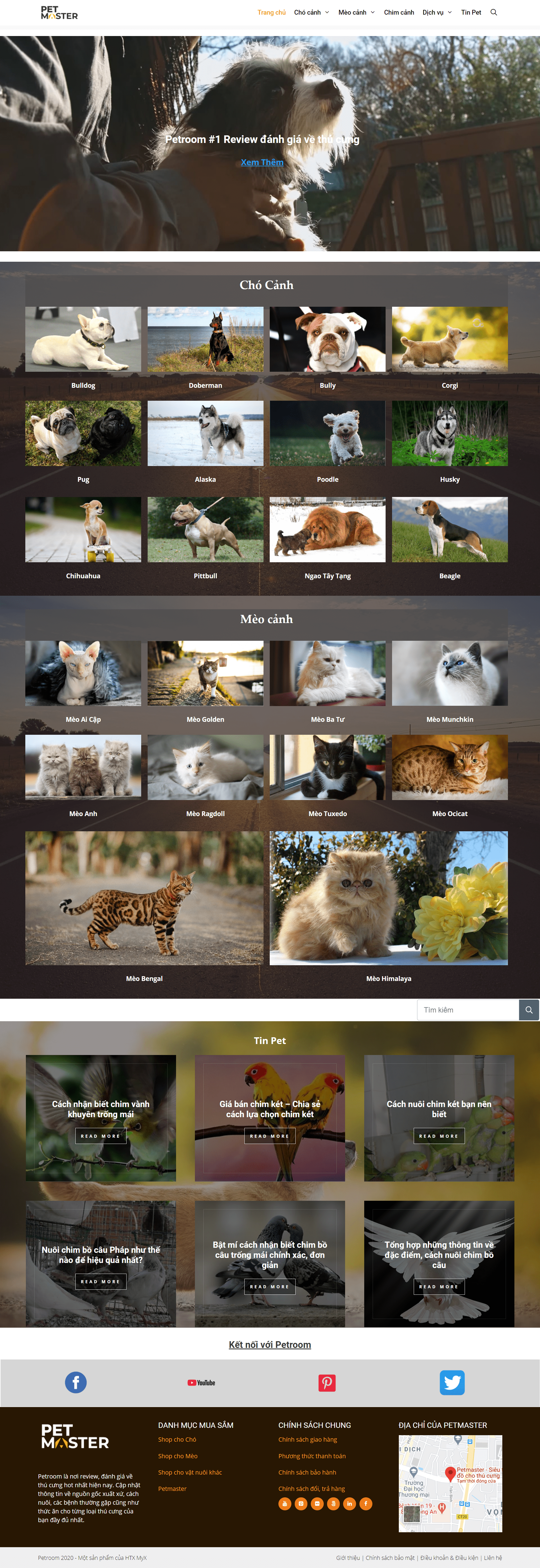 Thiết kế Website Web động vật vật nuôi - petmastervn