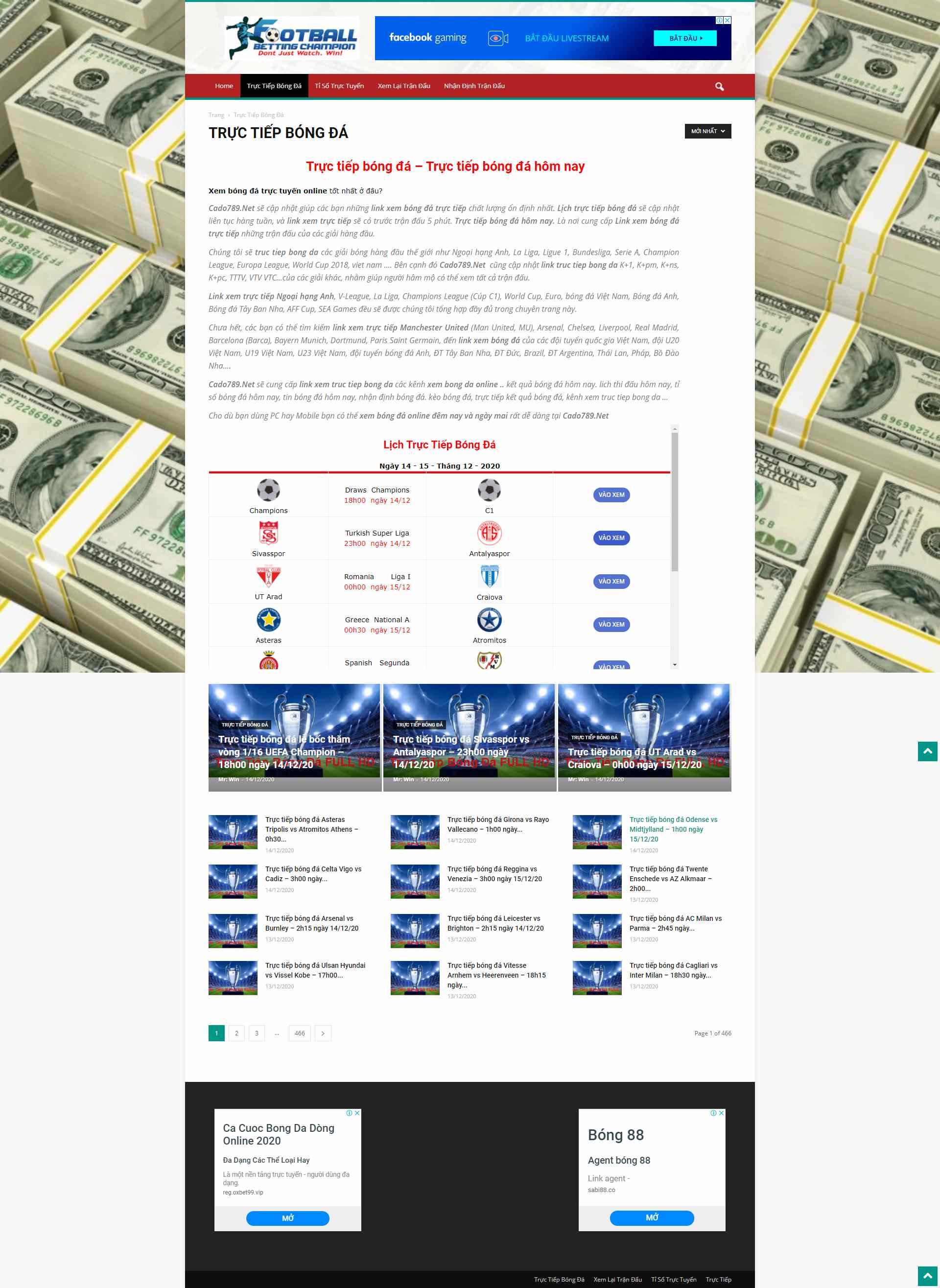 Thiết kế Website web trực tiếp bóng đá - cado789net