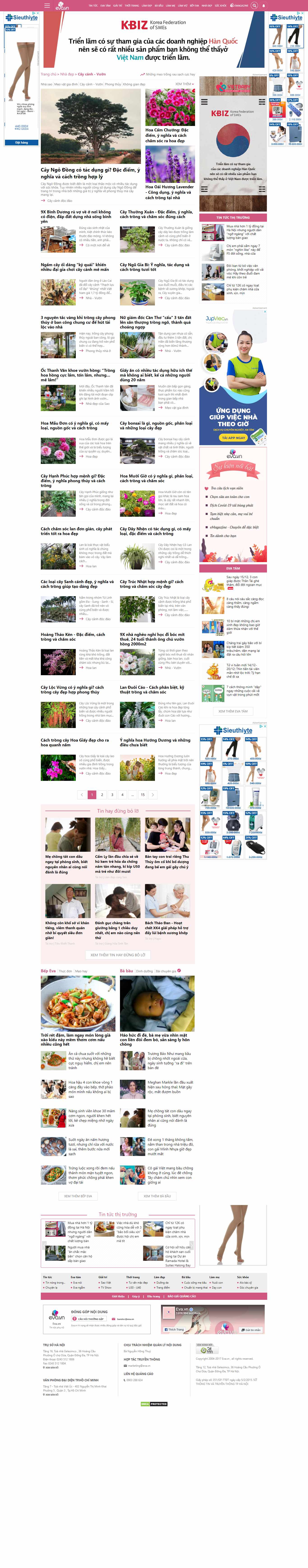 Thiết kế Website Web Cây Cảnh - evavn