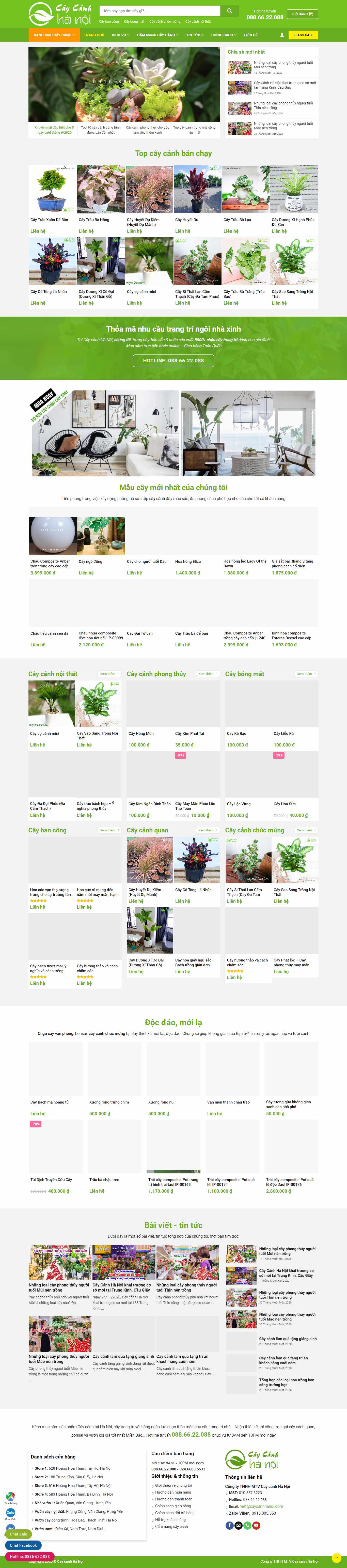 Thiết kế Website Web Cây Cảnh - caycanhhanoivn