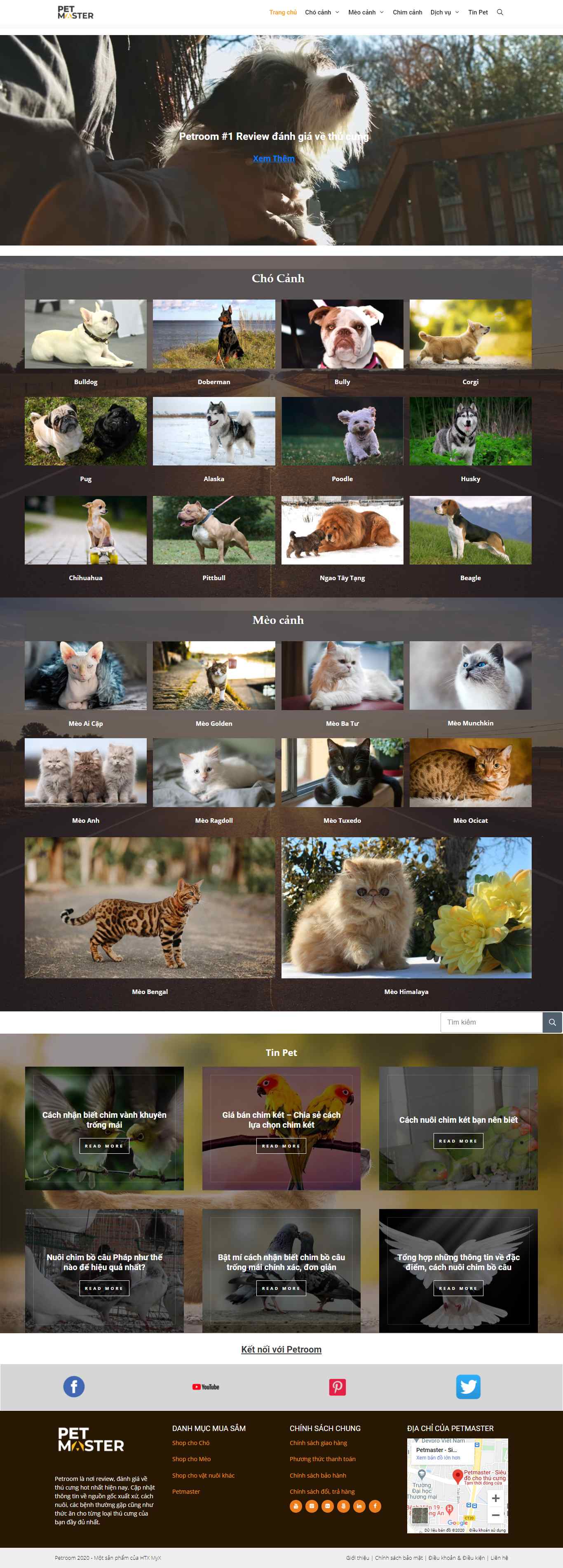 Thiết kế Website web thú cưng - petmastervn