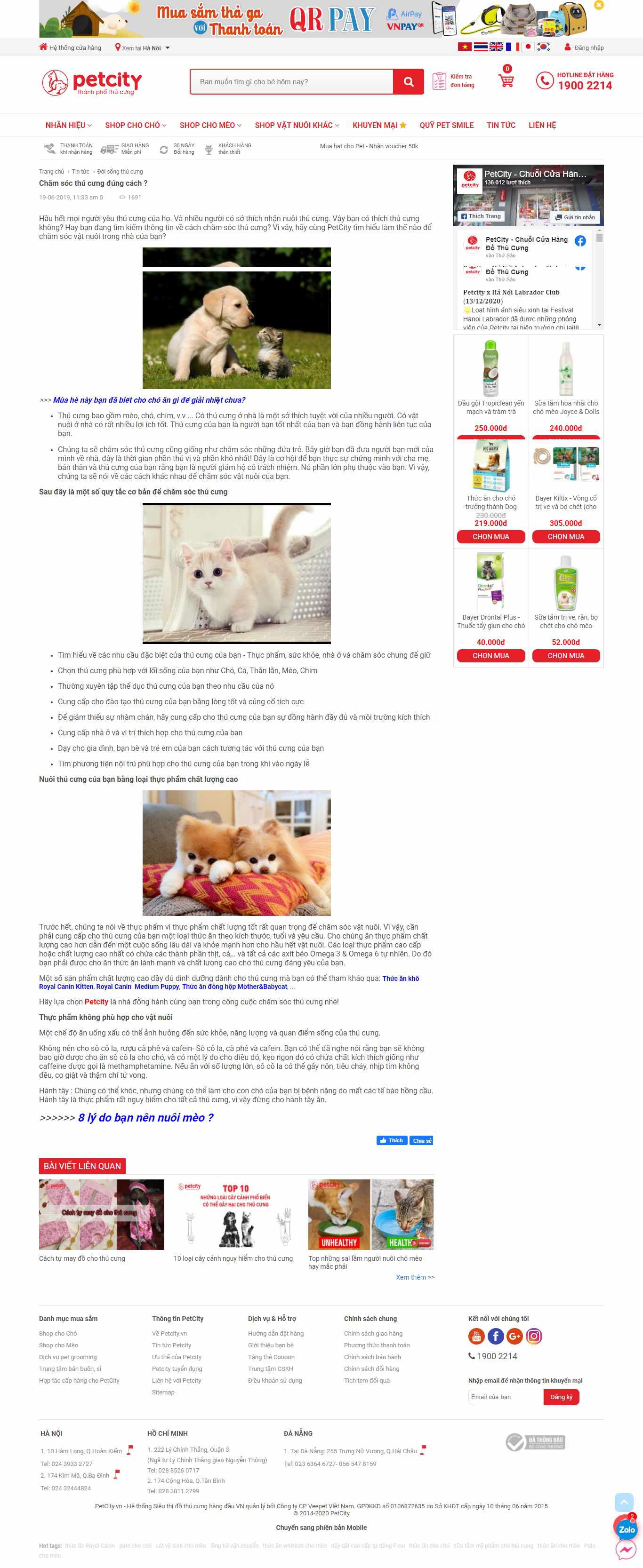 [petmart] Thiết kế Website web chăm sóc thú cưng - wwwpetcityvn