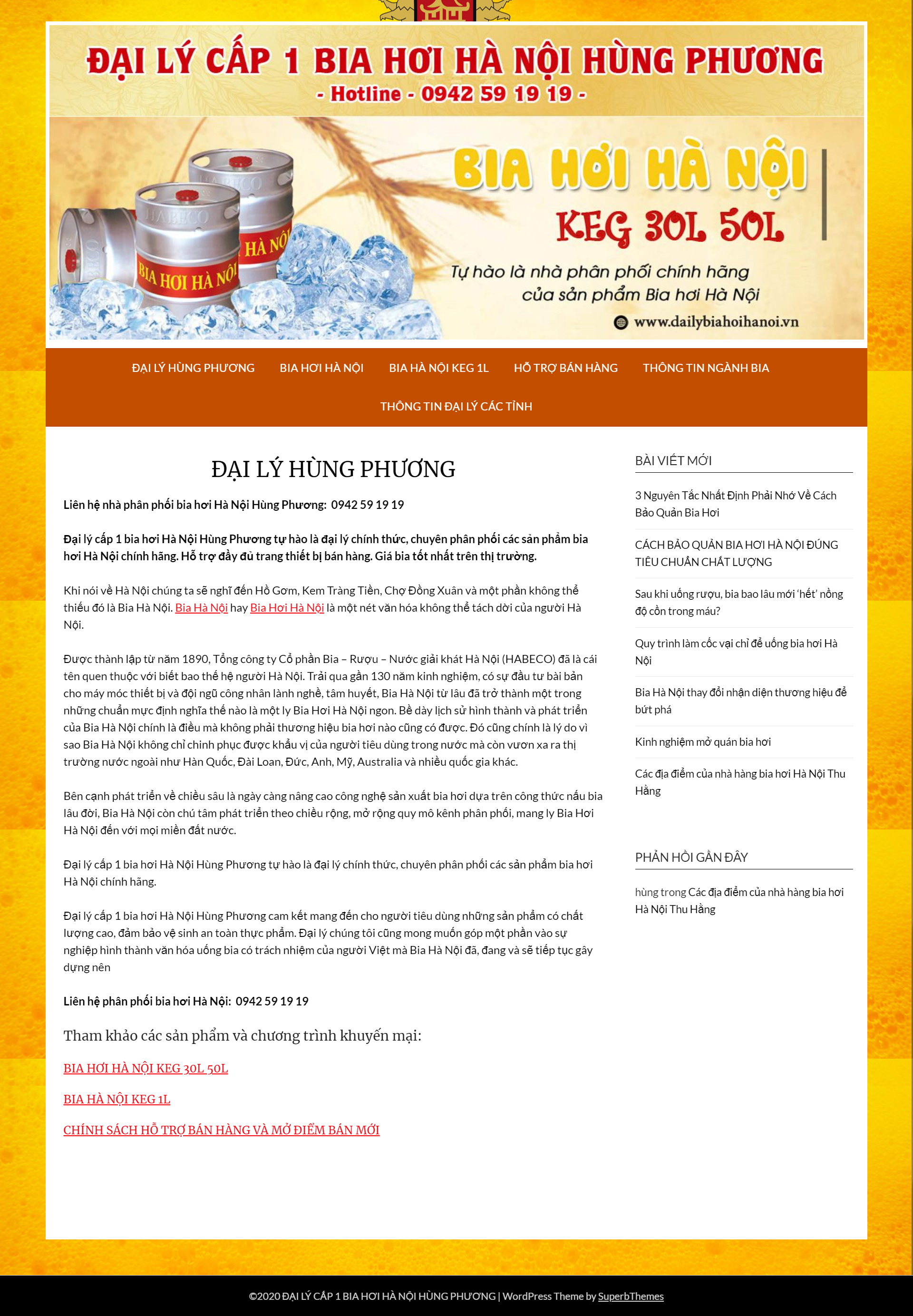 Thiết kế Website web bia hơi - dailybiahoihanoivn