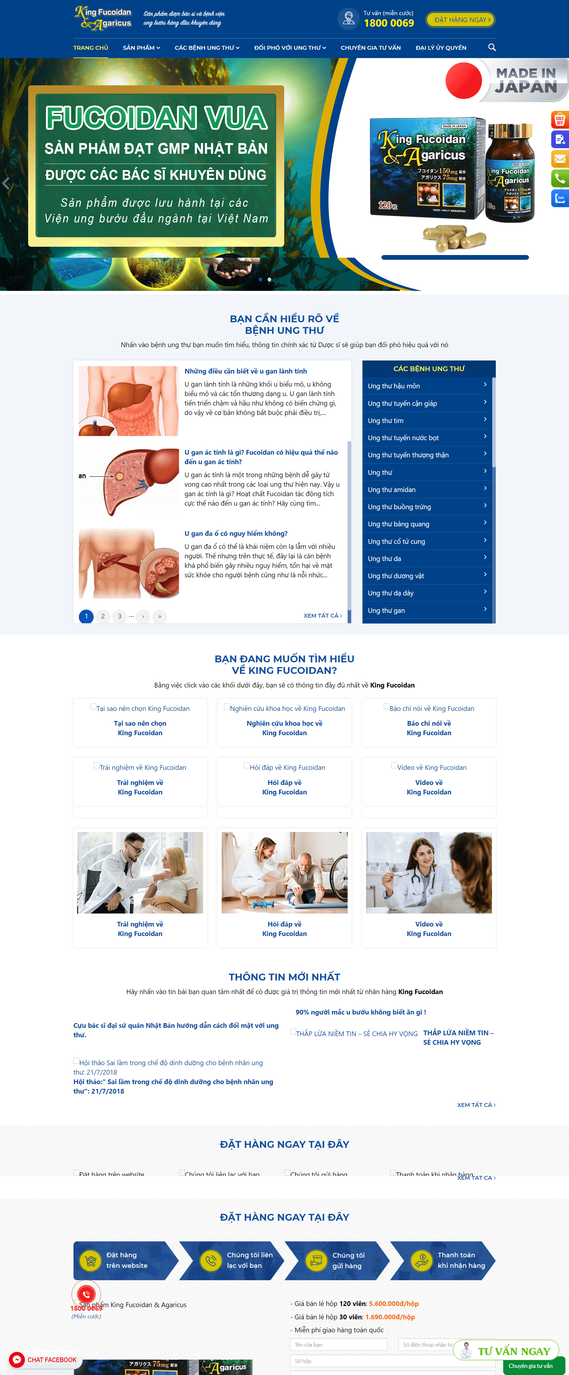 Thiết kế Website web siêu tốc - kingfucoidanvn