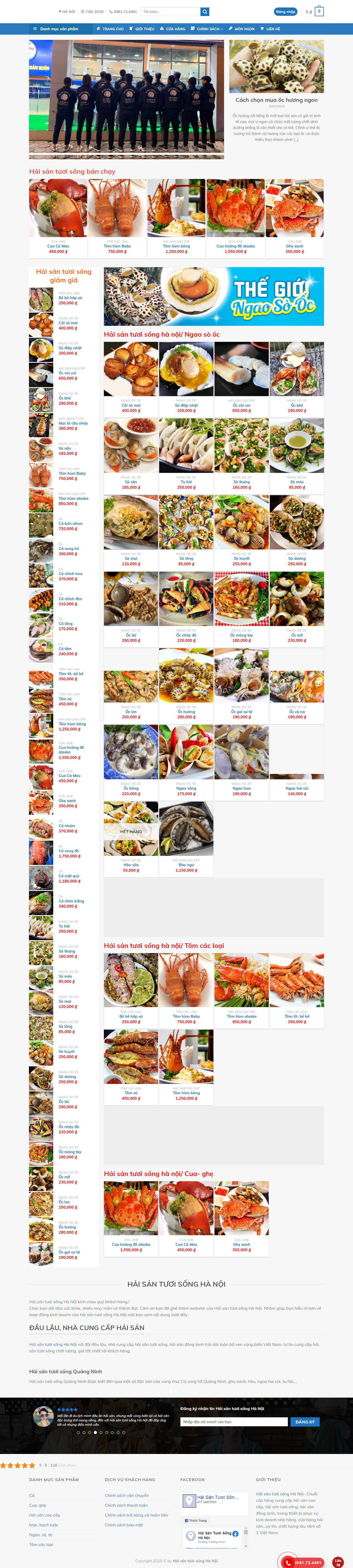 [antoanso] Thiết kế Website web Quận Cầu Giấy - haisantuoisonghanoivn
