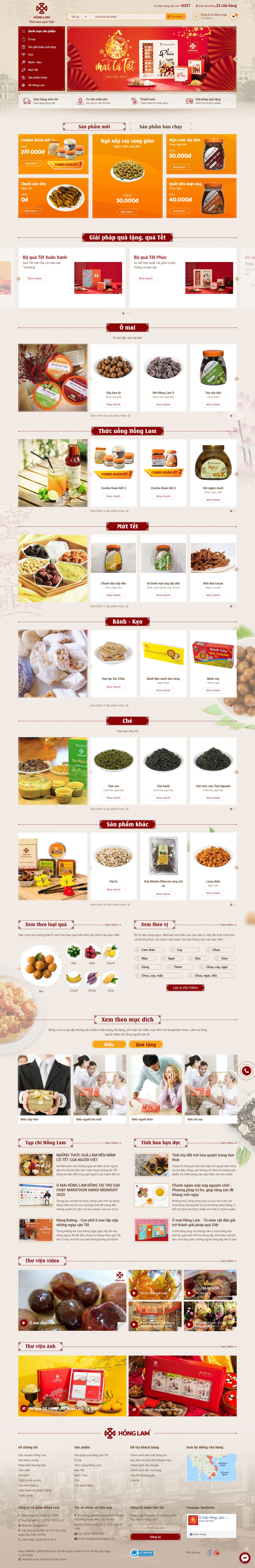 Thiết kế Website Web Thái Bình - honglamvn