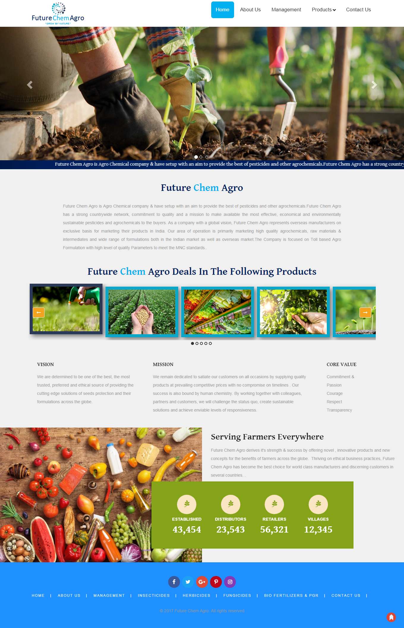 Thiết kế Website Web quận Tân Bình - futurechemagrocom