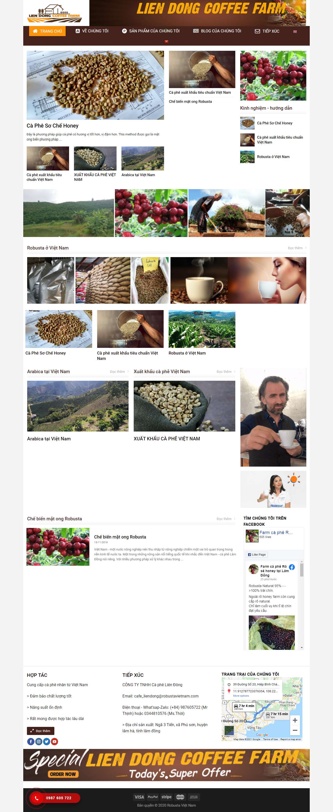 Thiết kế Website Web mẫu có sẵn - robustavietnamcom