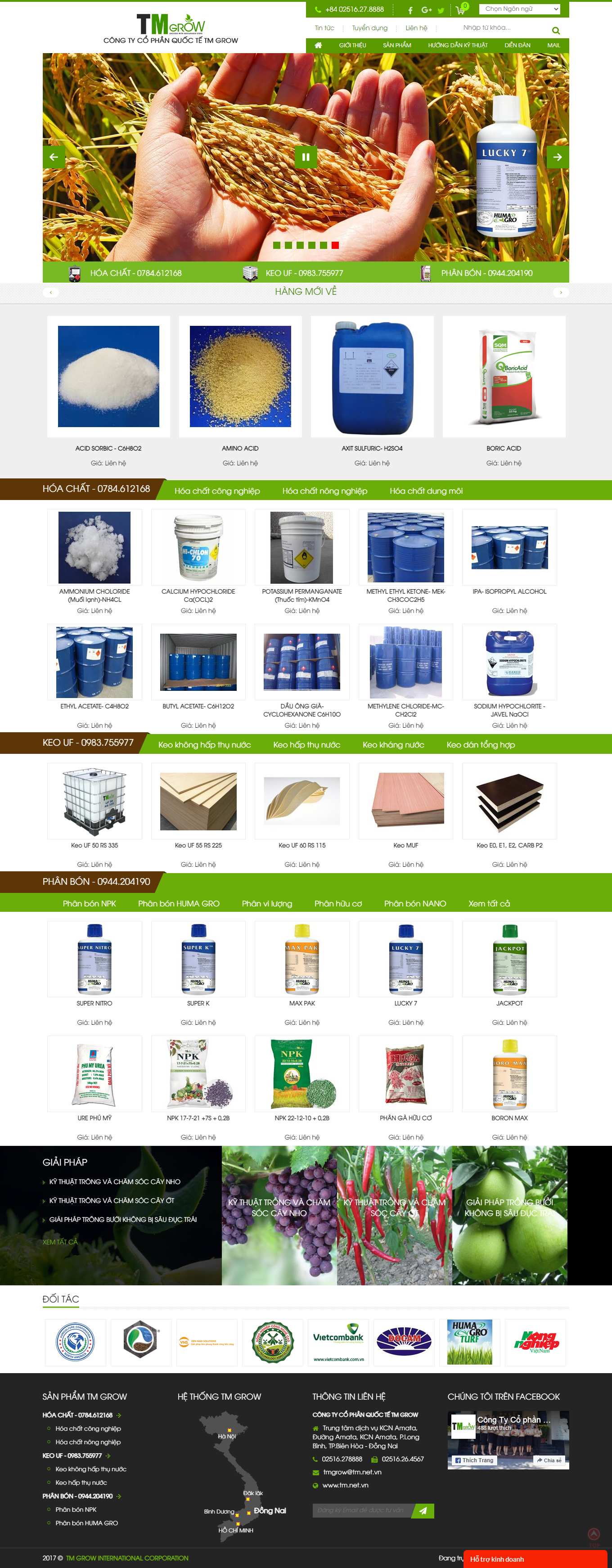 Thiết kế Website Web Zend - tmnetvn