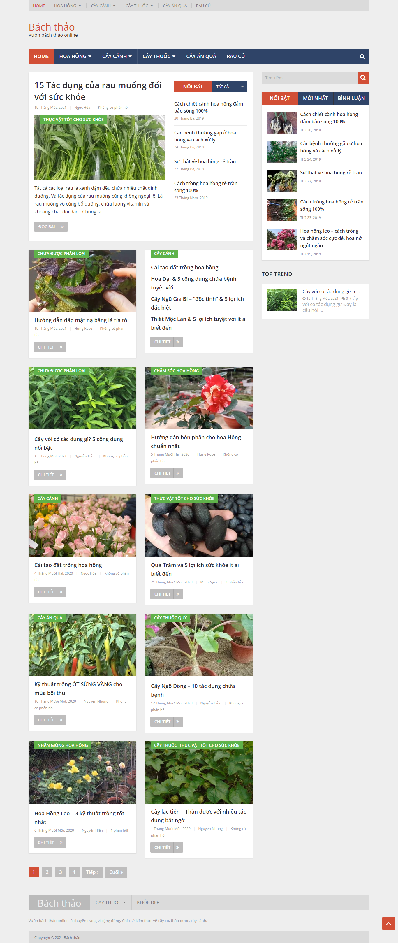 Thiết kế Website Web chuyên nghiệp giá rẻ - bachthaonet