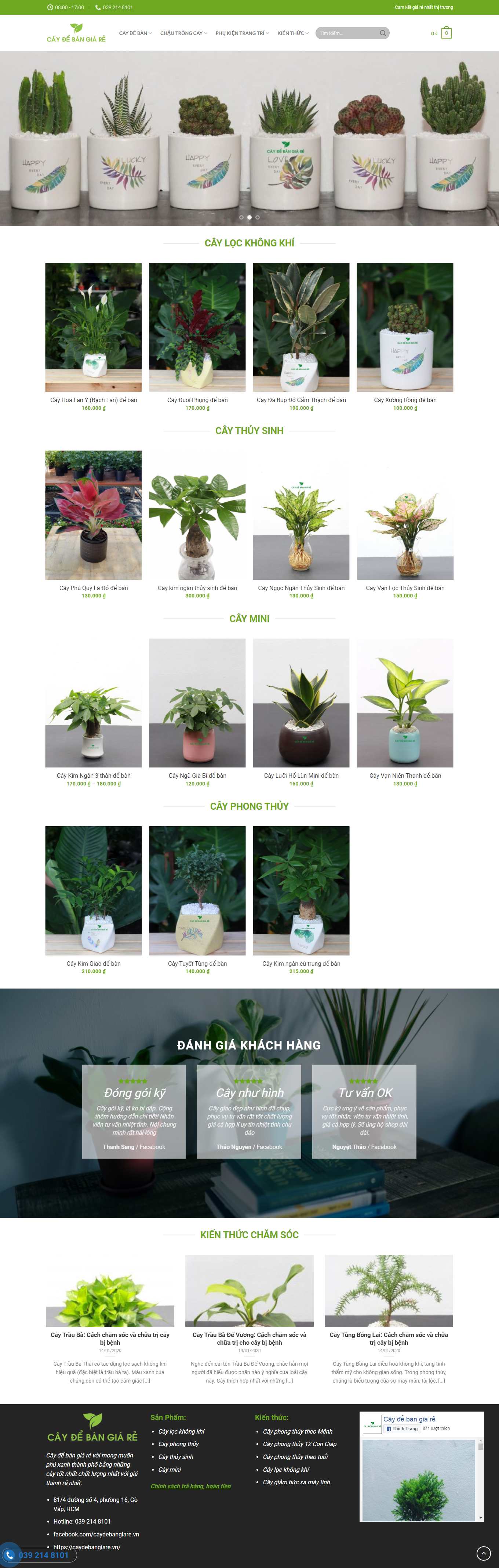 [hoadepviet] Thiết kế Website Web bán cây cảnh trong nhà - caydebangiarevn