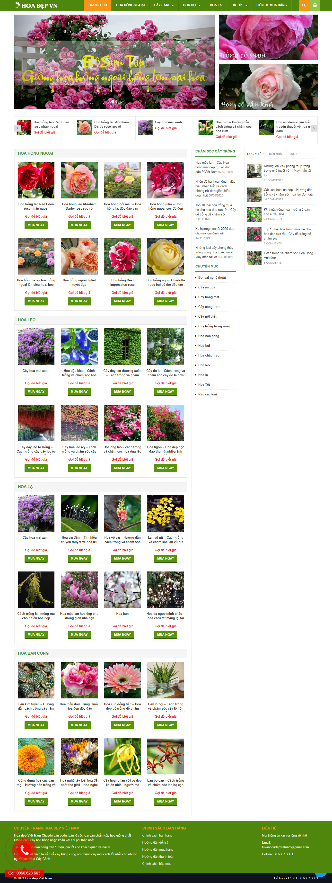 [webcaycanh] Thiết kế Website Web cây cảnh văn phòng - hoadepvietcom