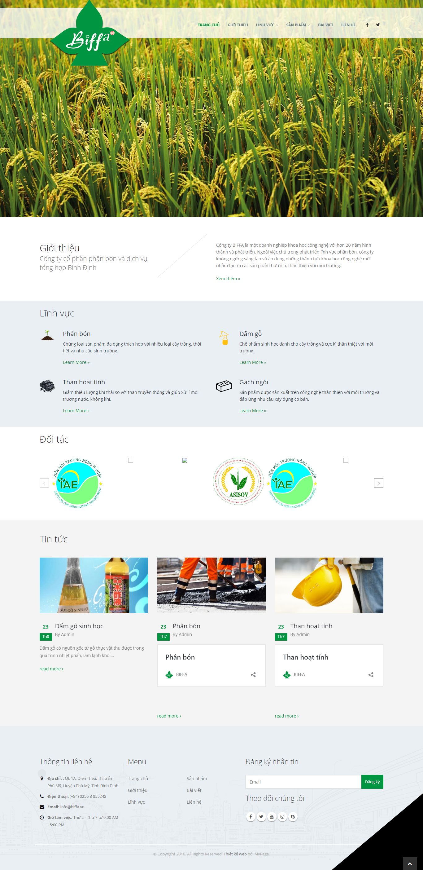 [giaytot] Thiết kế Website Web giới thiệu sản phẩm - biffavn