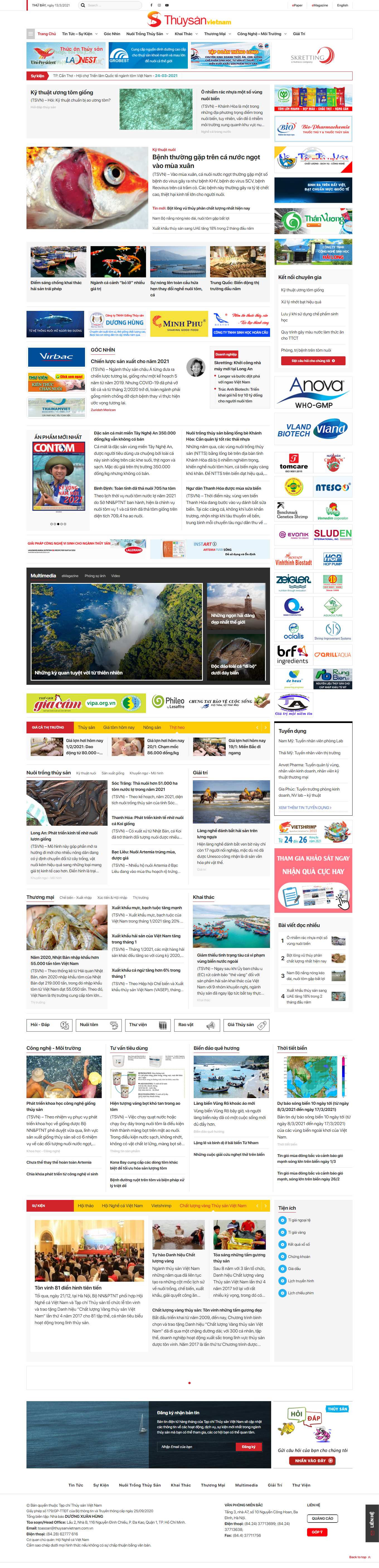[jns] Thiết kế Website Web tạp chí - thuysanvietnamcomvn
