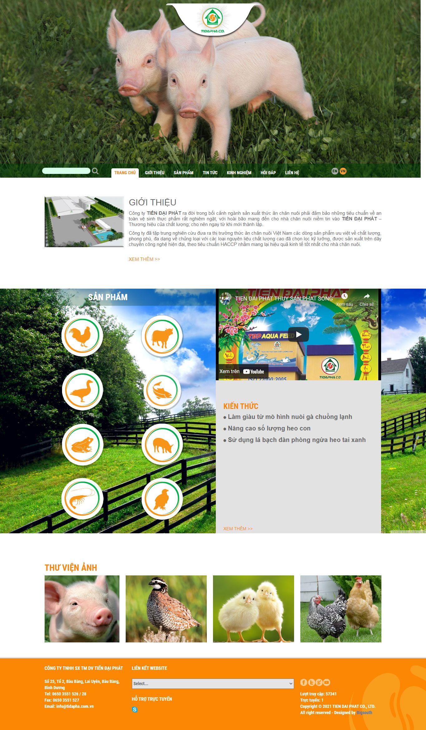 [hawater] Thiết kế Website web công ty - tidaphacomvn