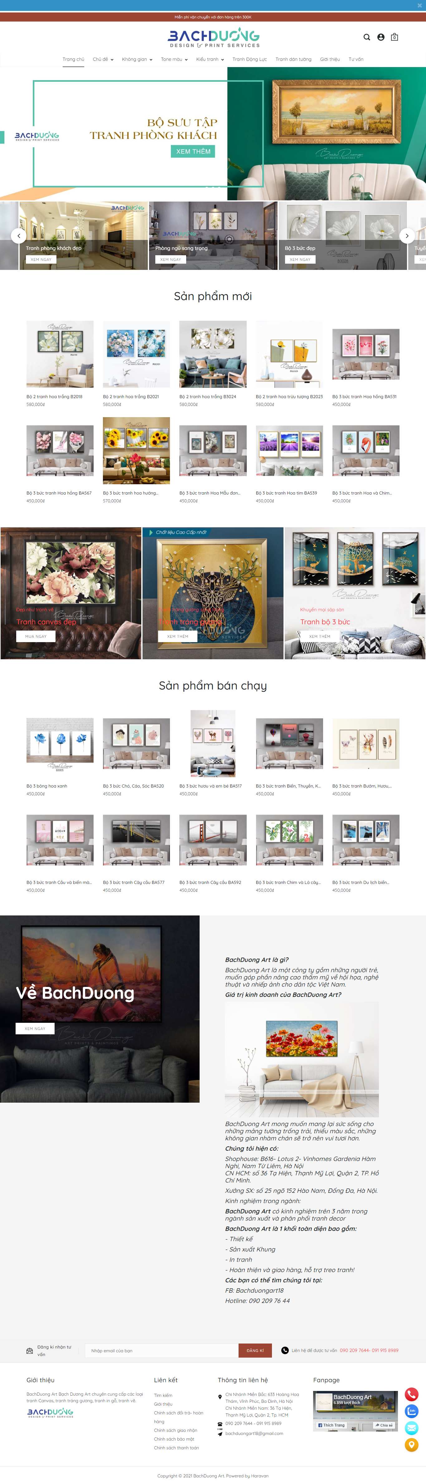 Thiết kế Website web cửa hàng - bachduongartcom