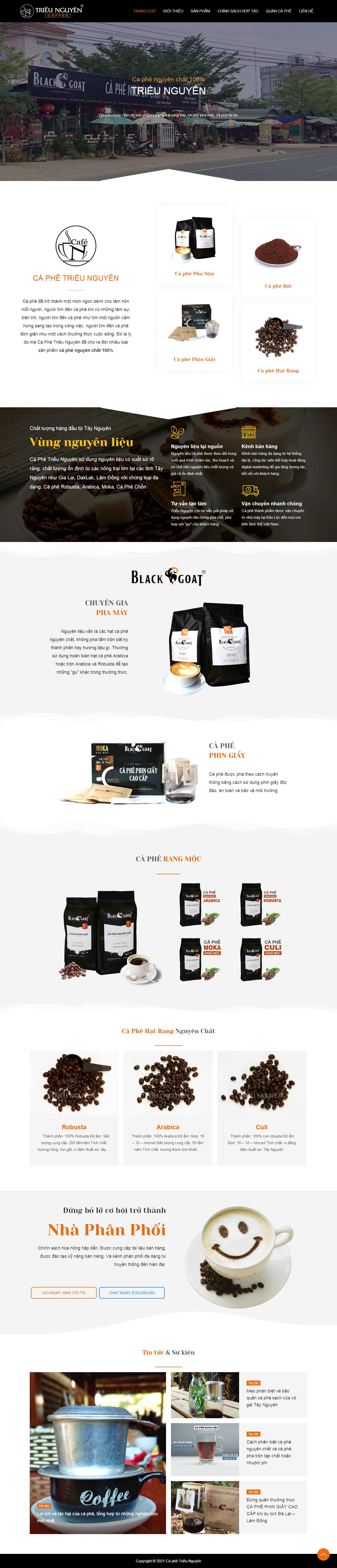 Thiết kế Website web Là gì - caphetrieunguyencom