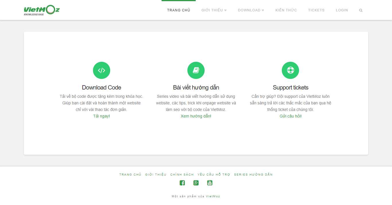 Thiết kế Website web Vietmoz - supportvietmozinfo