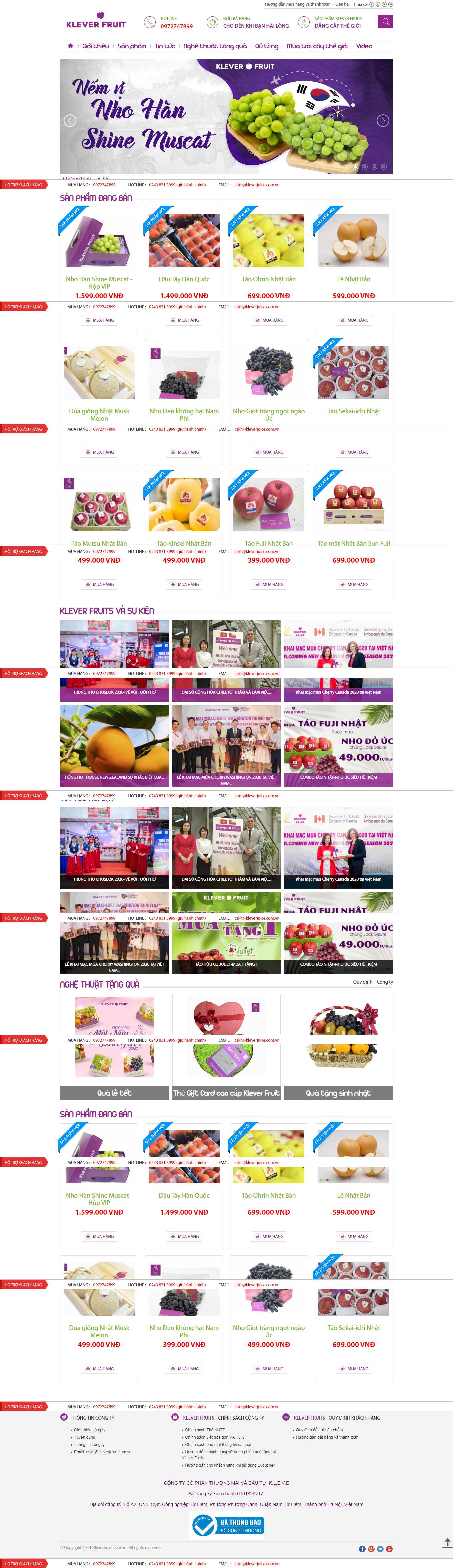 [tantruong] Thiết kế Website Web Hưng Yên - kleverfruitscomvn