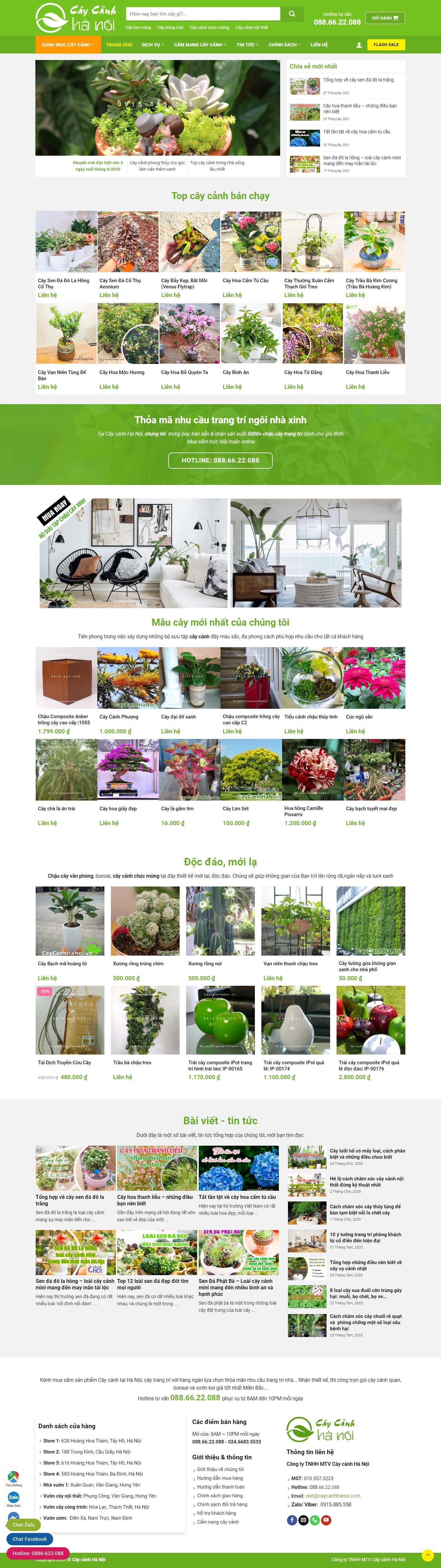 [phukienahai] Thiết kế Website Web Khánh Hòa - caycanhhanoivn