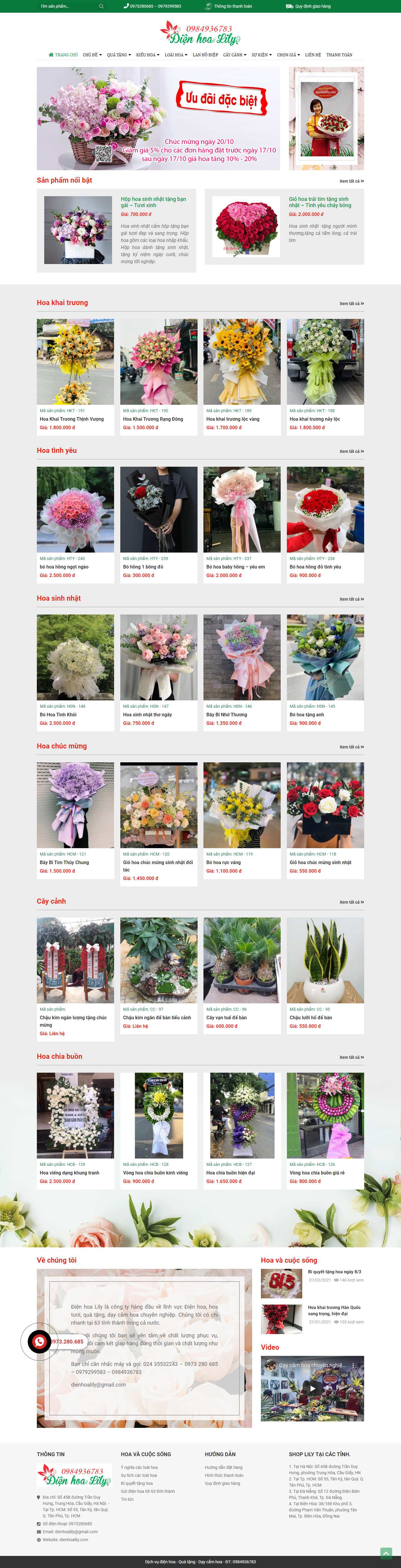 [phukienahai] Thiết kế Website Web Khánh Hòa - dienhoalilycom