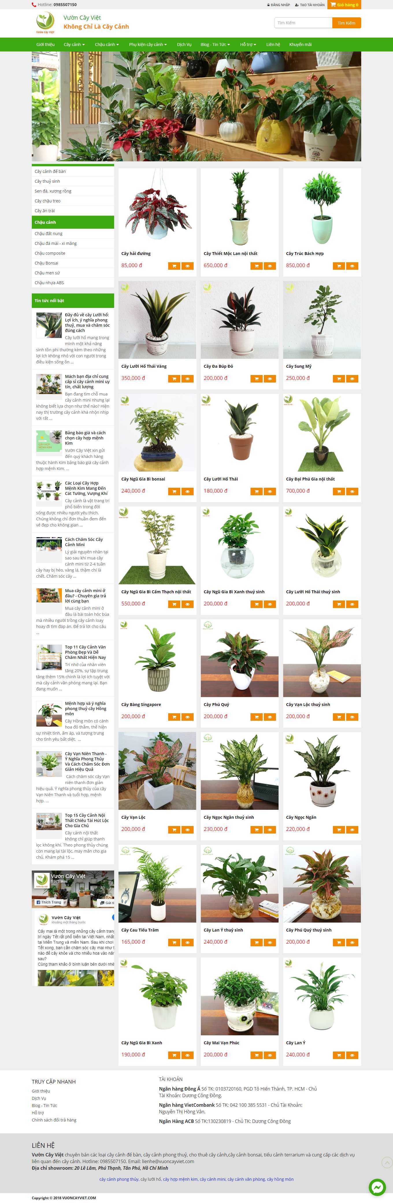 Thiết kế Website Web Kiên Giang - vuoncayvietcom