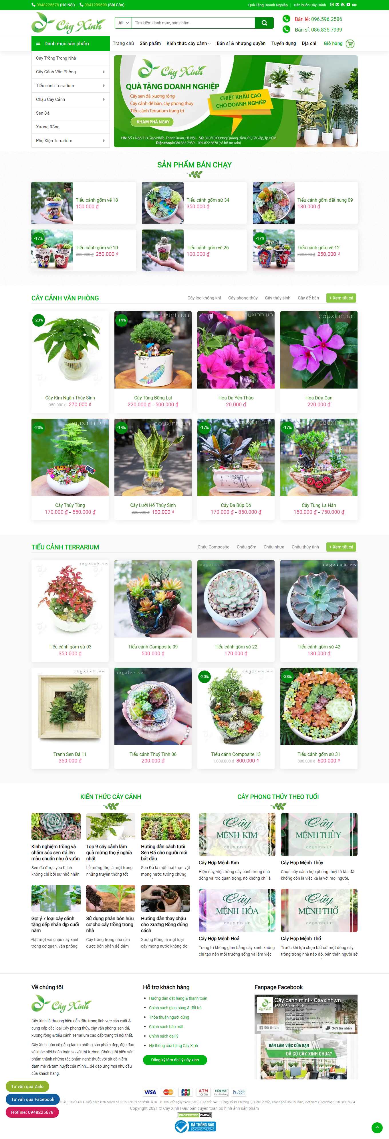 Thiết kế Website Web Kiên Giang - cayxinhvn