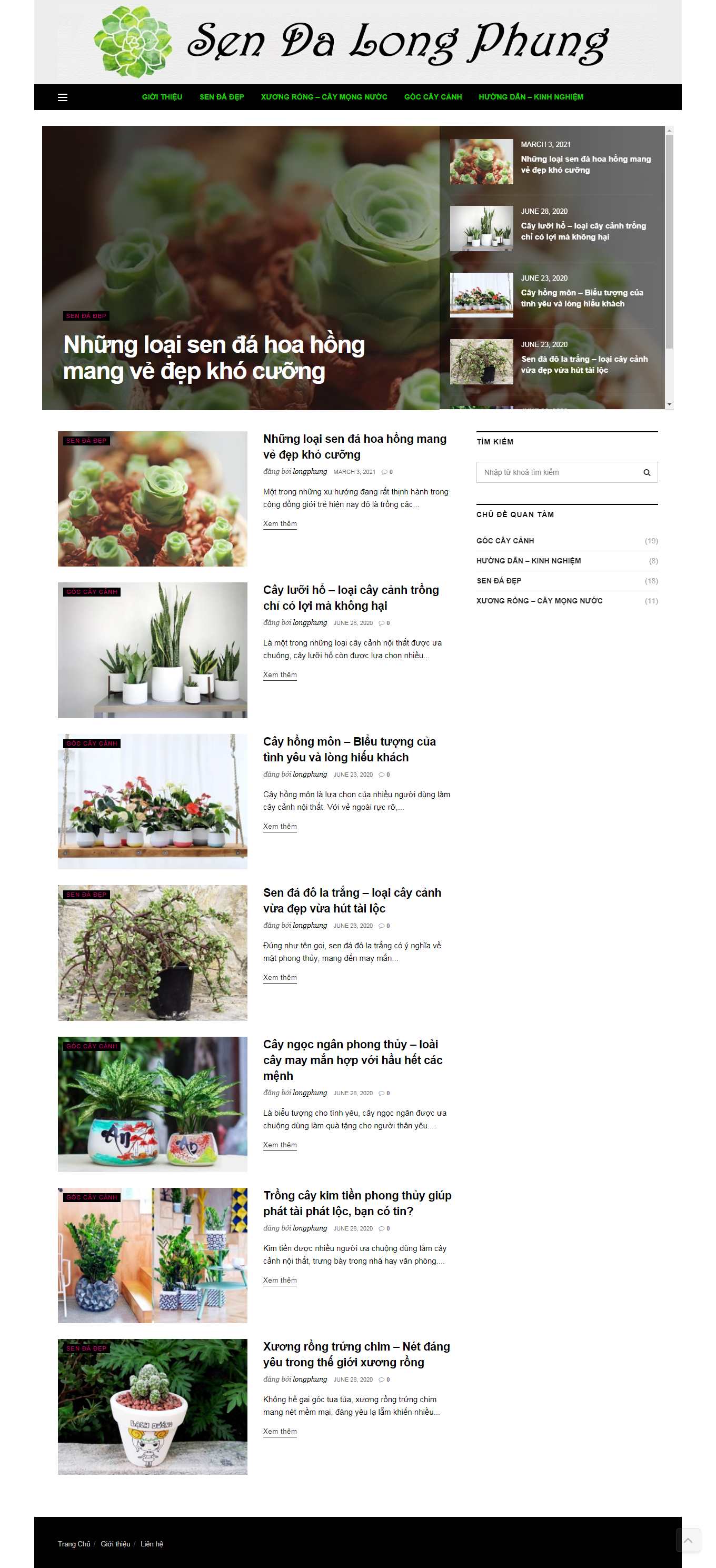 [dergo] Thiết kế Website Web Bắc Ninh - sendalongphungcom