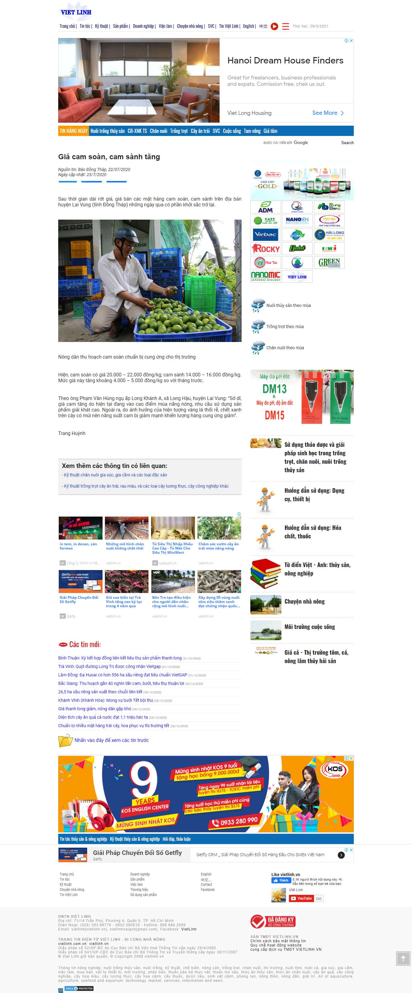 [baobitvah] Thiết kế Website Web Điện Biên - vietlinhvn