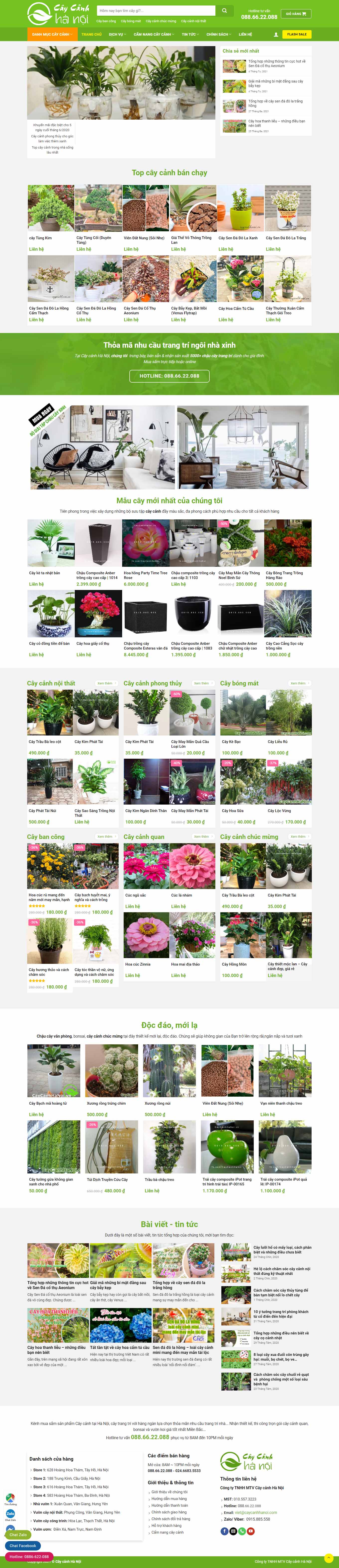 [mayin3d] Thiết kế Website Web Quận 11 - caycanhhanoivn