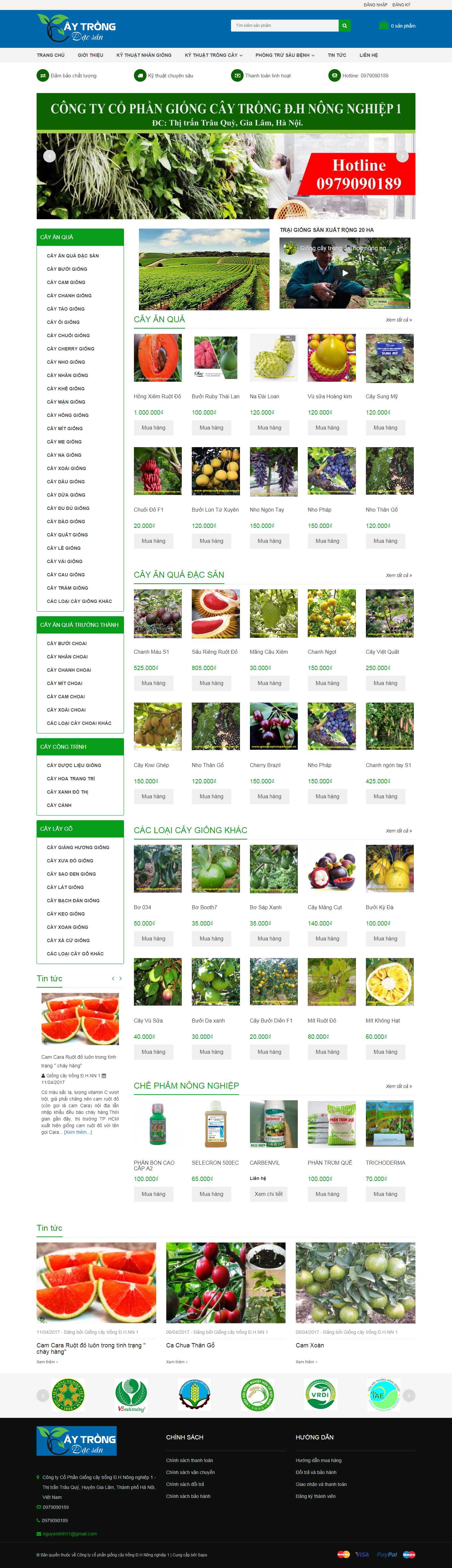 [caygiongnongnghiep] Thiết kế Website Web giống cây trồng - giongcaytrongdacsanvn