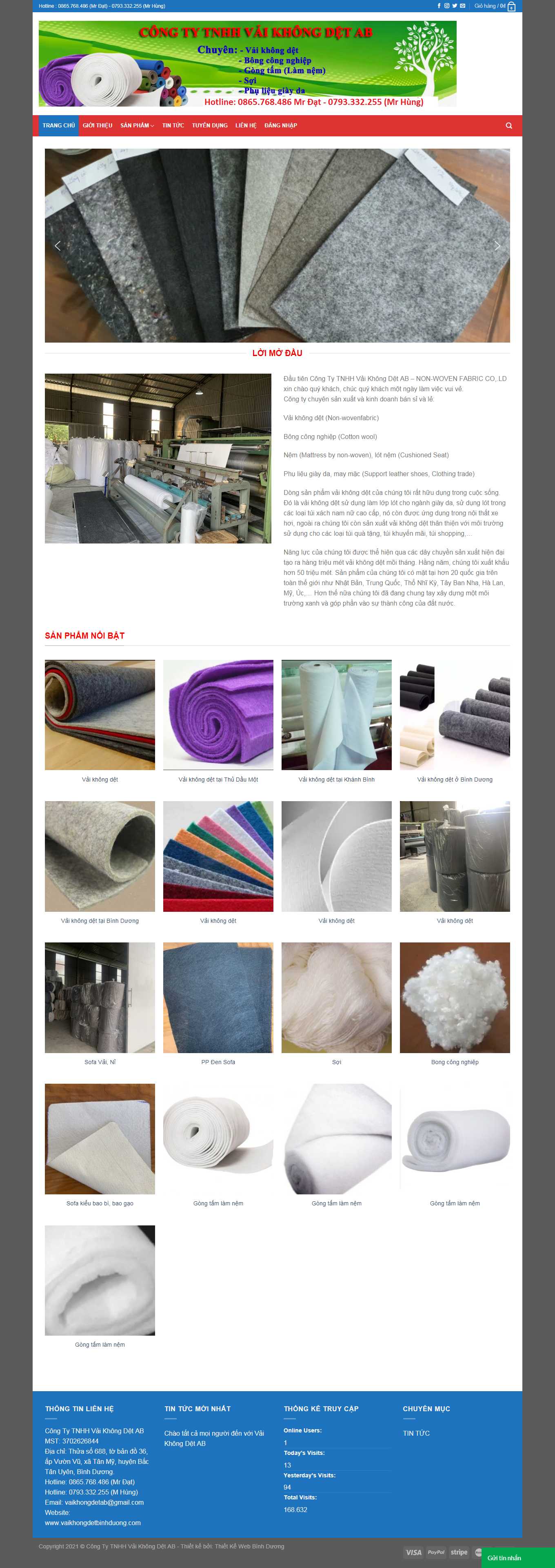 Thiết kế Website Web chuyên nghiệp giá rẻ - vaikhongdetbinhduongcom