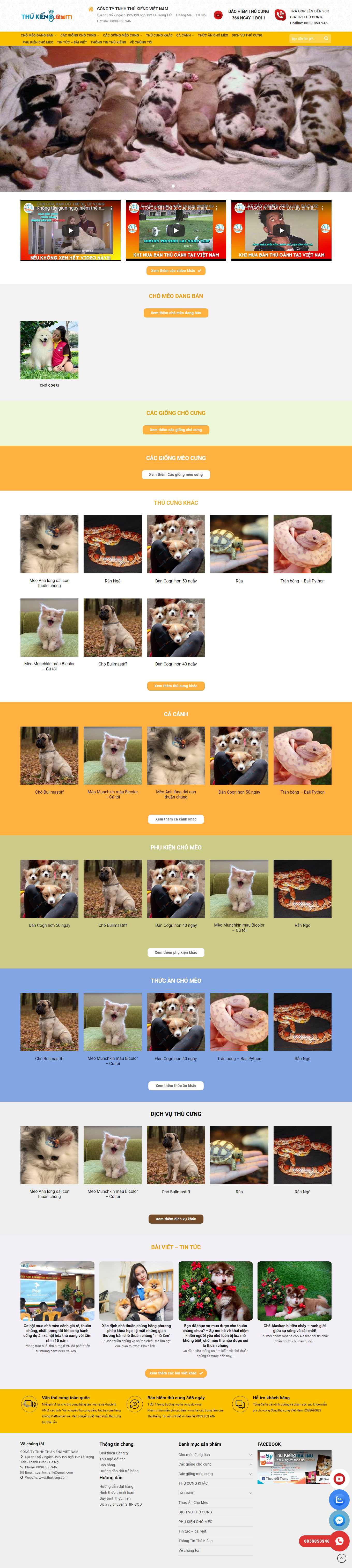 [hoisvcvn] Thiết kế Website Web bán chim cảnh - wwwthukiengcom