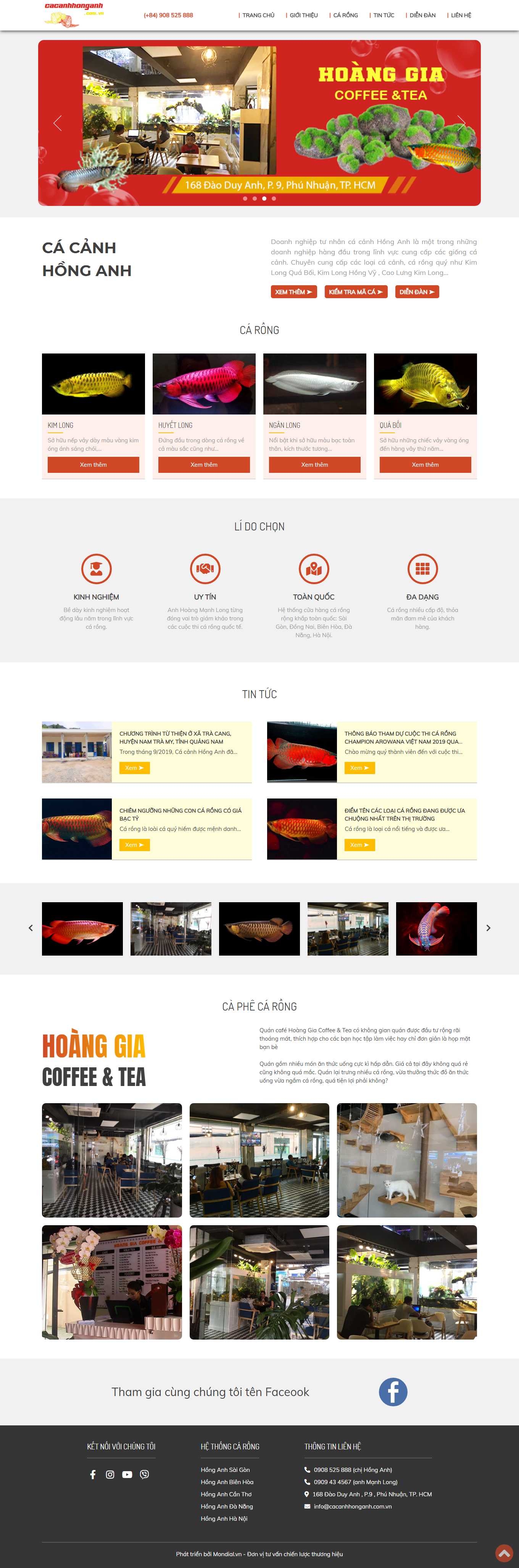 [hungcacanh] Thiết kế Website Web bán cá cảnh - cacanhhonganhcomvn